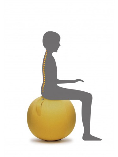 Ballon-ergonomique-bureau-teletravail-home-office.2