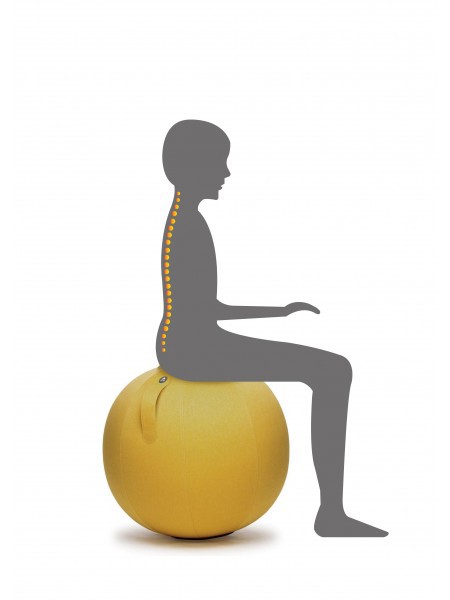 Ballon-ergonomique-bureau-teletravail-home-office.2